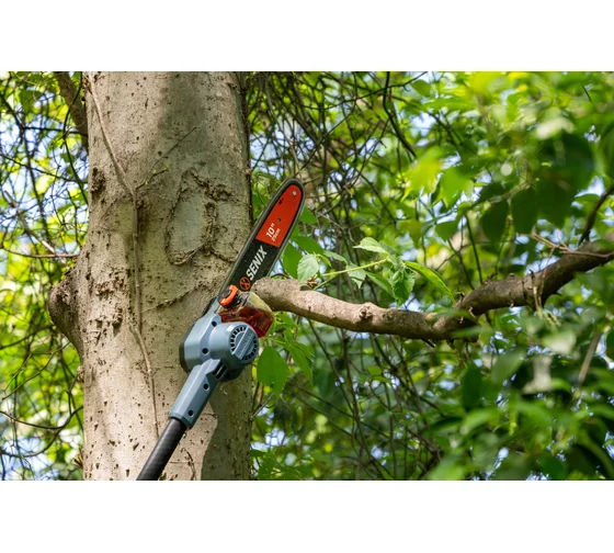 Высоторез аккумуляторный SENIX серии 60V 25см 1акб 1зу CSPX6-M-EU — изображение 7